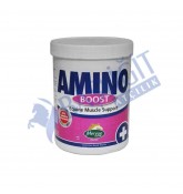 Amino Boost 1 KG